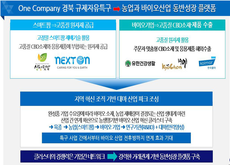 ▲ 안동시의 경북 산업용헴프 규제자유특구 지정에 따른 조직개편.