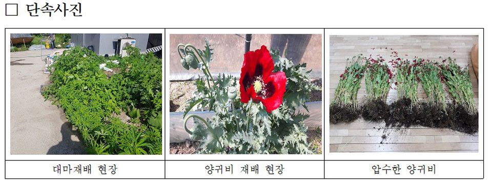 ▲자료: 경북지방경찰청.