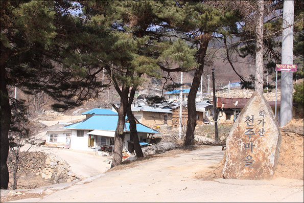 ▲예천군 보문면 산성리를 넘어가기 전 만나게 되는 천주마을. 천주마을이라고 해서 천주교 박해를 피해 모여 살았던 마을로 오해하면 안 된다. 깎아지는 절벽이 하늘을 떠받치는 기둥 같다 하여 붙여진 이름이다.