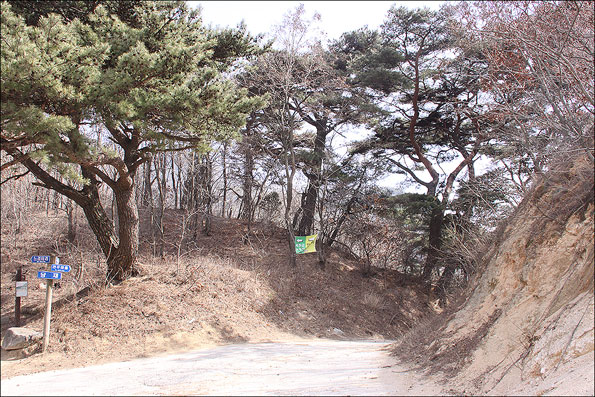 ▲당재. 안동 천주마을에서 예천 산성리를 넘어가는 경계