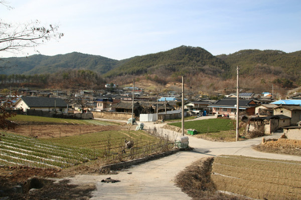 ▲새랄 마을 공동배수지에서 내려다 본 마을 중앙부분 전경.