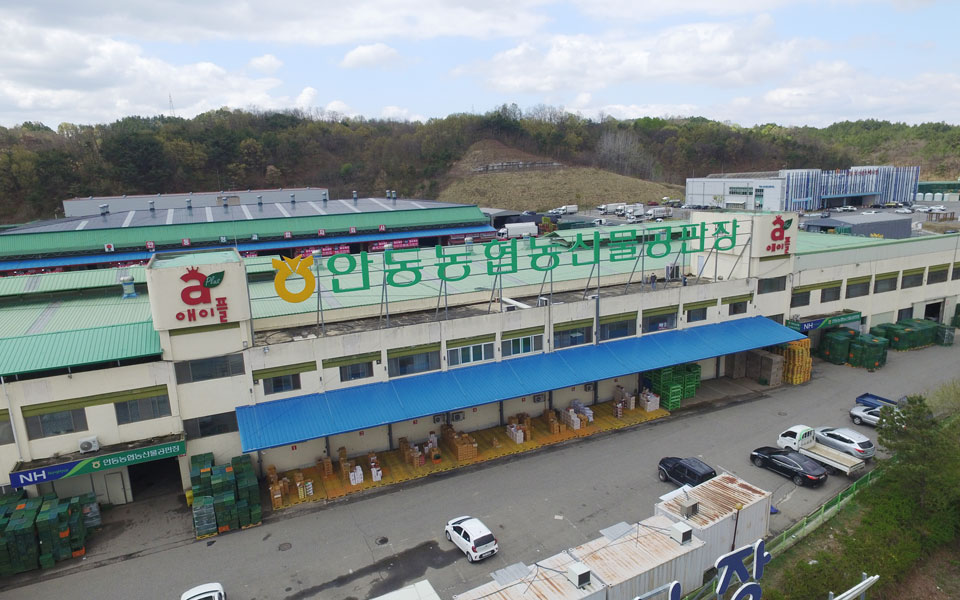 ▲사진 안동농협 제공. 2020.11.05