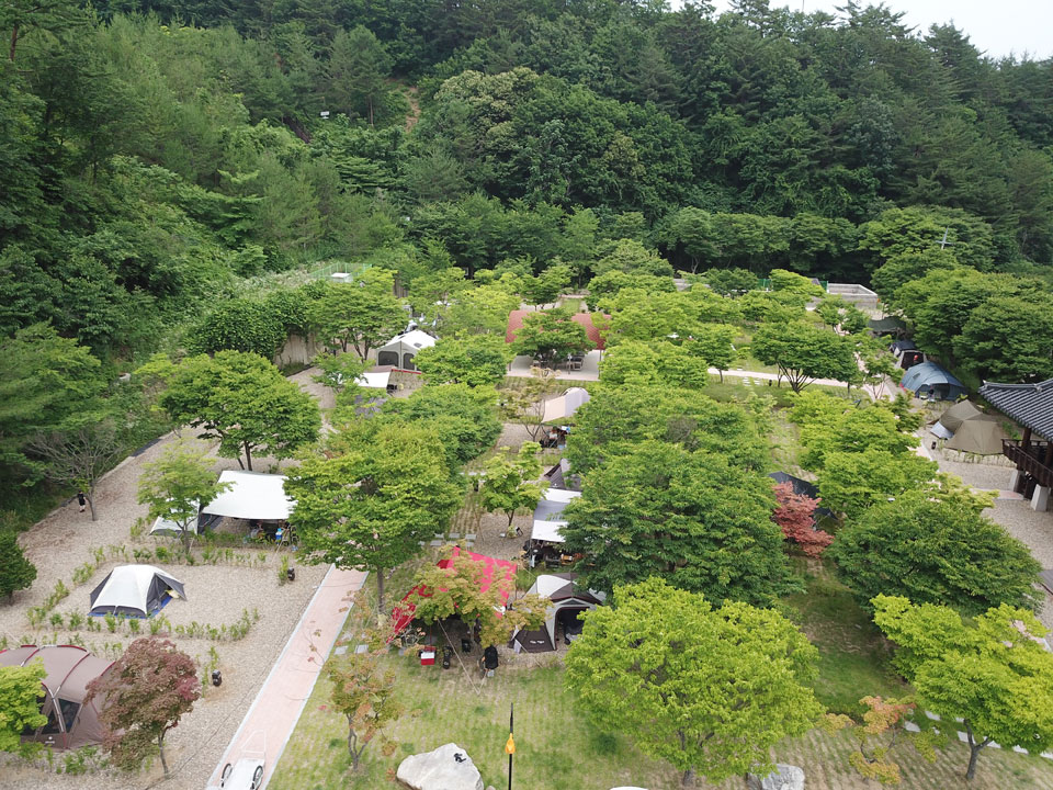▲영양군청소년수련원 캠핑장.