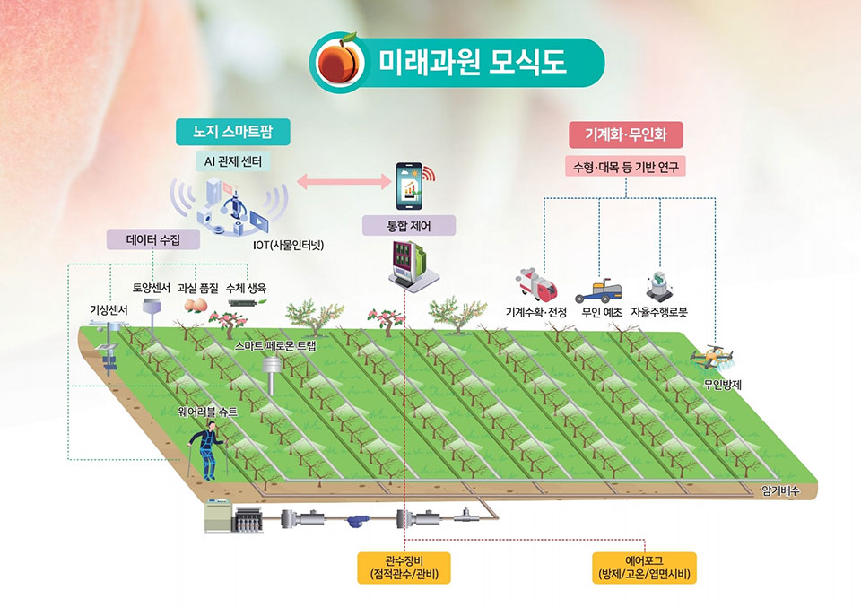 ▲복숭아 미래형 스마트 노지과원 모형도.(자료 경북도청 제공) 2021.08.31