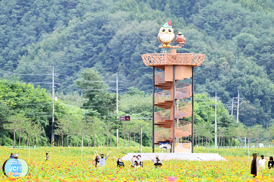 ▲사진 청송군청 제공.