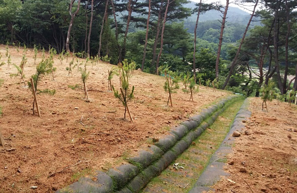 ▲자료사진 영양군청 제공.2021.11.03