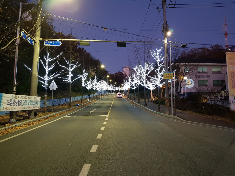 ▲사진 안동시청 제공.2021.11.15