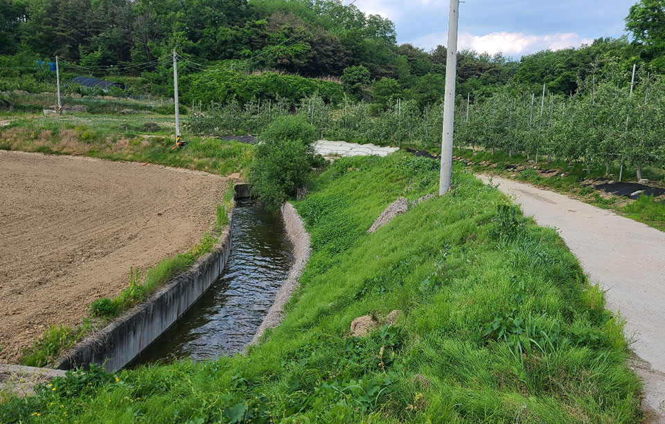 ▲사진 안동시청 제공.2022.05.30