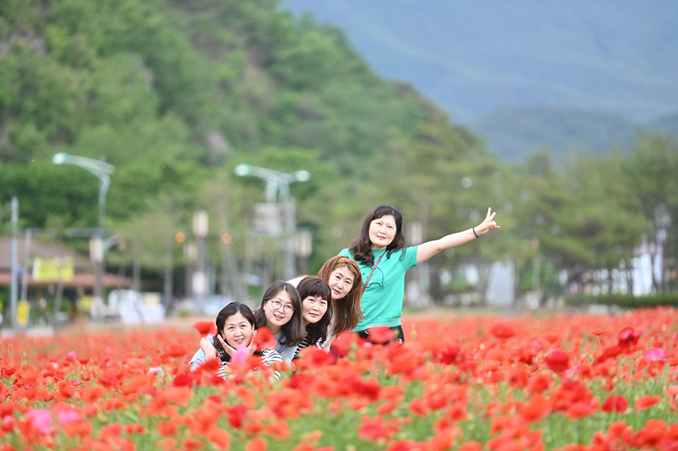 ▲사진 청송군청 제공. 2022.06.13