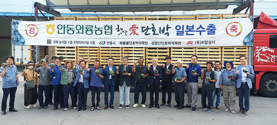 ▲안동 단호박이 안동와룡농협산지유통센터 일본으로 본격 수출 길에 올랐다.(사진 안동시청 제공. 2022.07.20)