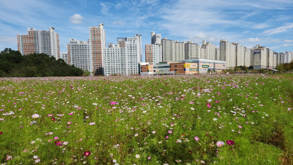 ▲사진 예천군청 제공.2022.09.28