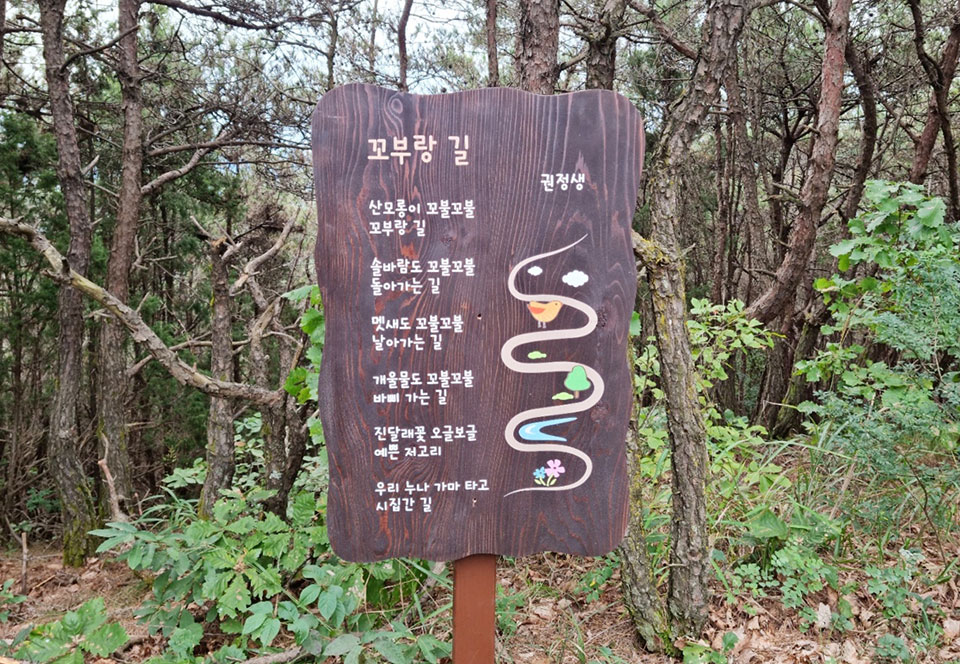 ▲와룡산 등산로에 설치된 시판.(사진 안동시청 제공.2022.10.19)