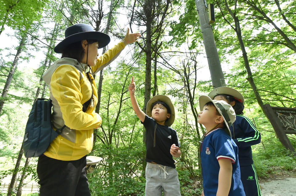 ▲ '산소카페 청송군'이 휴식과 힐링을 제공하는 명품 산림을 가꾸어 숲으로 잘사는 산림 르네상스 시대를 열어 가기로 했다.(사진 청송군청 제공.2023.02.24)