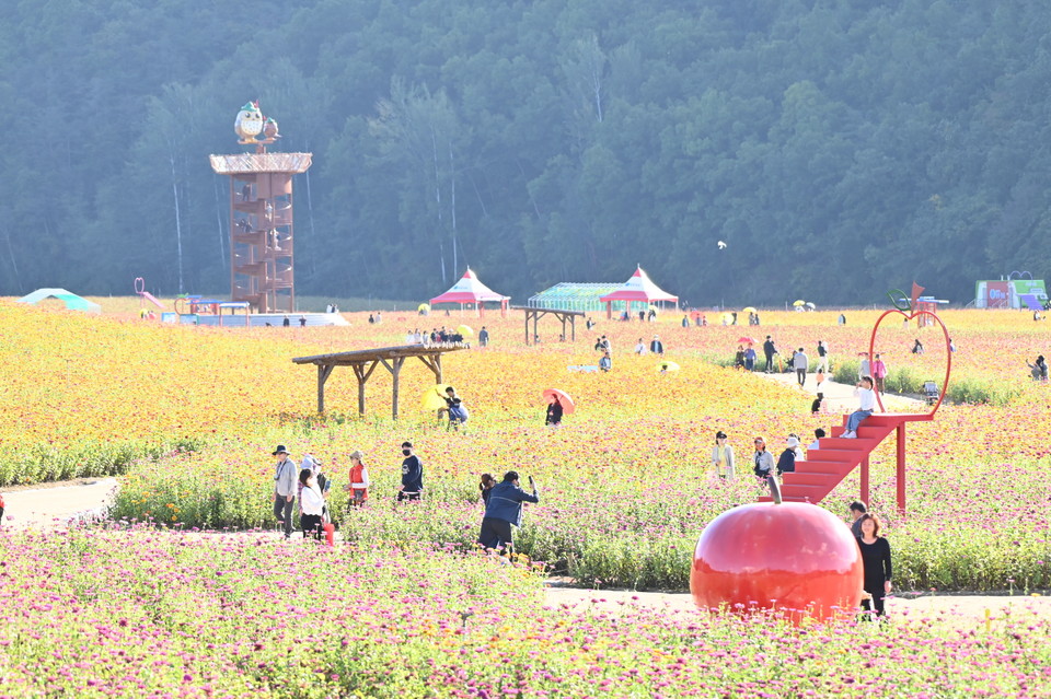 ▲청송군 진보면의 산소카페 청송정원.