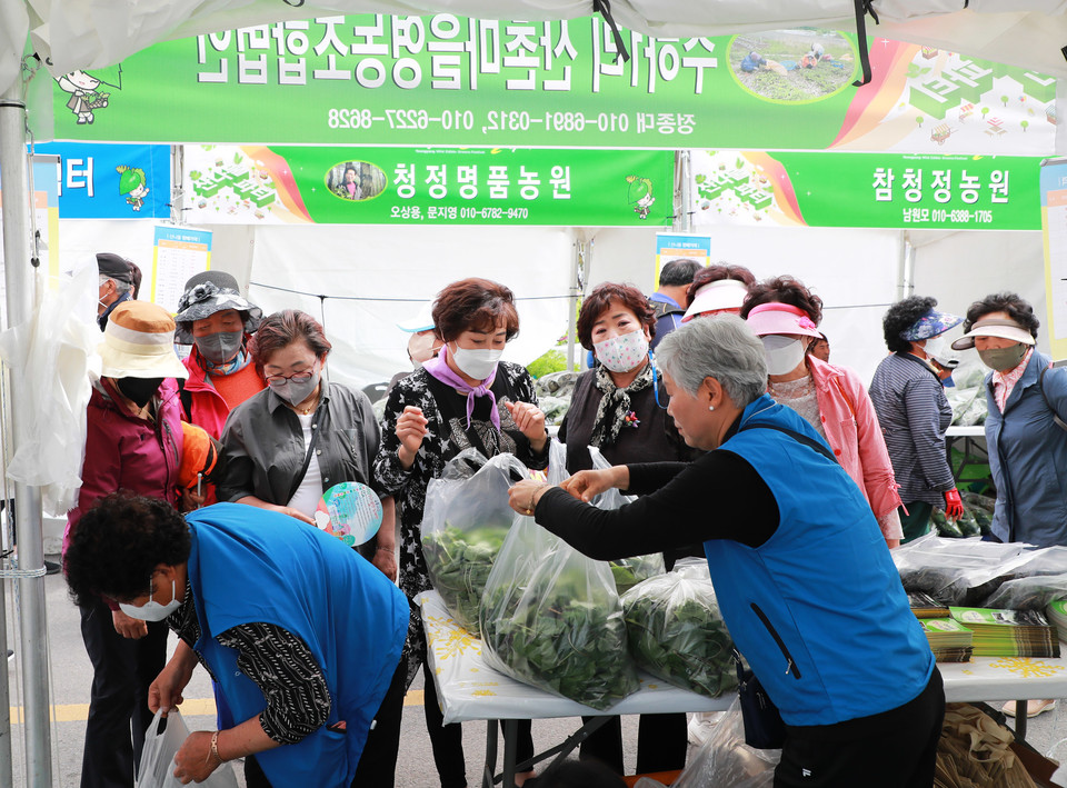 ▲행사 자료 영양군청 제공.