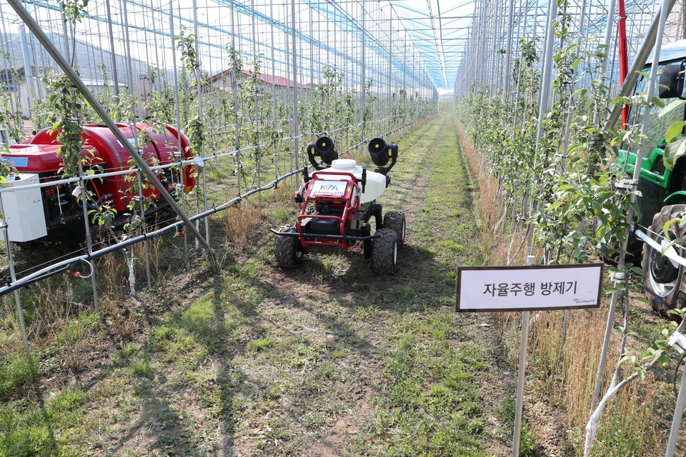 ▲안동에서 전국 최초로 노지 사과 스마트팜 시설이 공개됐다.(사진 안동시청 제공) 