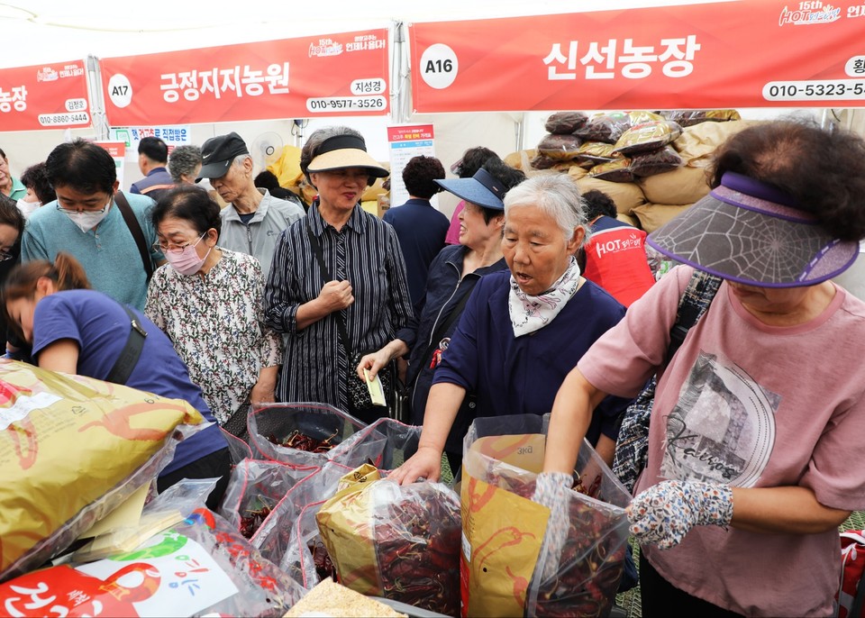 ▲서울광장에서 개최된 2023 영양고추 H.O.T Festival에 약 8만여 명이 다녀갔다.(사진 영양군청 제공)