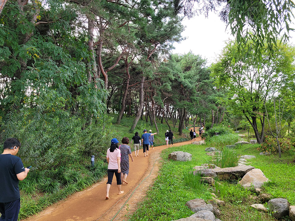 ▲ 천년숲 황톳길.(사진 경북도청 제공)