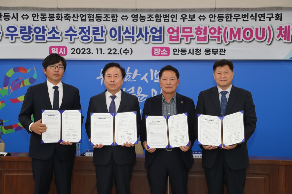 ▲안동시 ‘우량암소 수정란 이식사업’ 업무협약 체결.(사진 안동시청 제공)