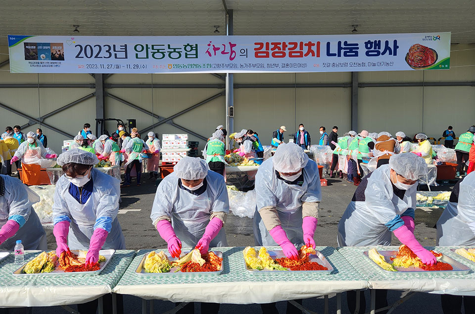 ▲안동농협 사랑의 김장김치 나눔 행사.(사진 안동농협 제공)