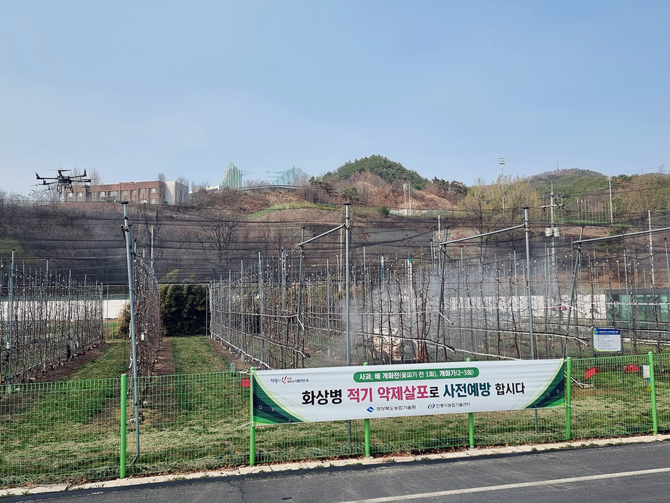 ▲과수화상병 발생 최소화 위해 사전 예방 당부.(사진 안동시청 제공)