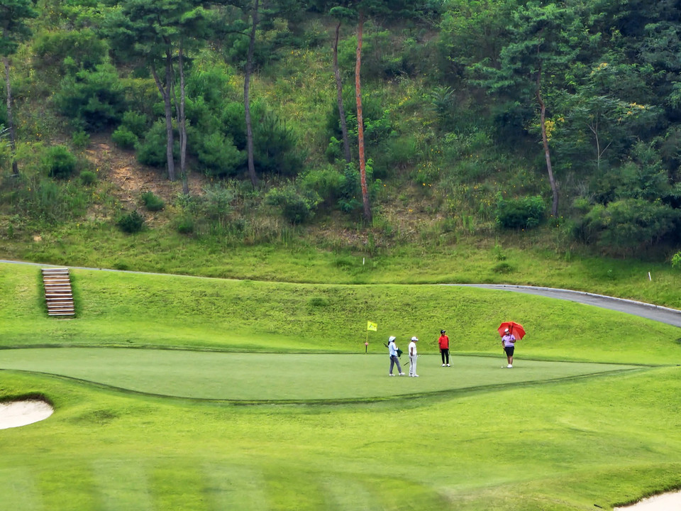 ▲제18회 문화체육관광부장관배 전국초등학생골프대회.(사진 안동시청 제공)